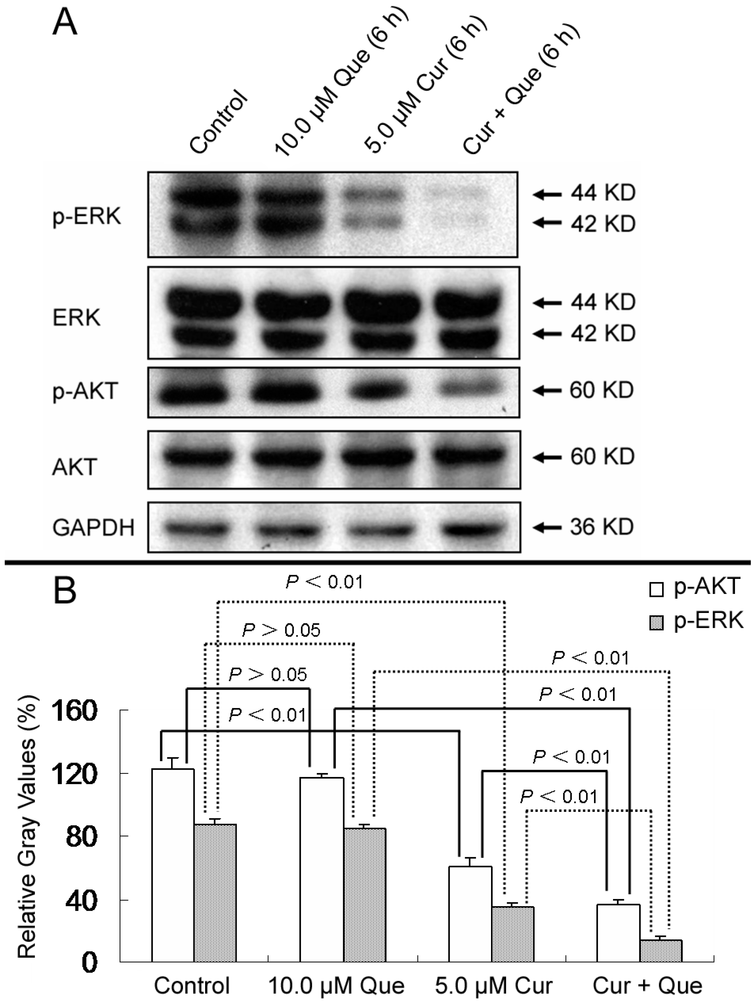Molecules 20 11524 g006