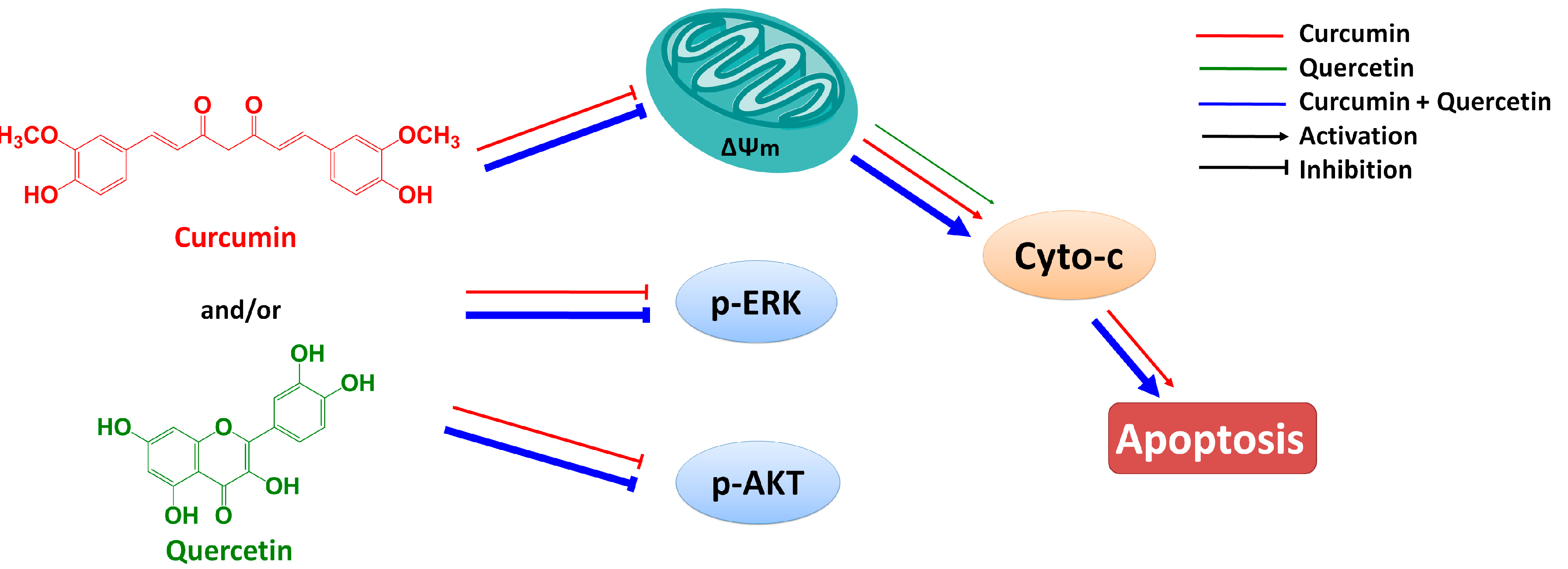 Molecules 20 11524 g007