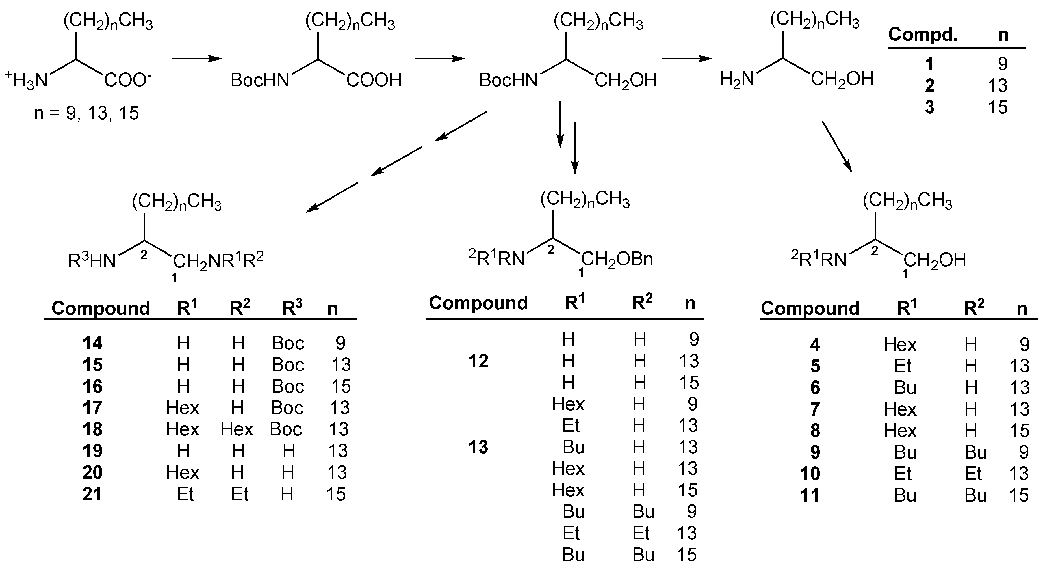 Molecules 20 11554 g002