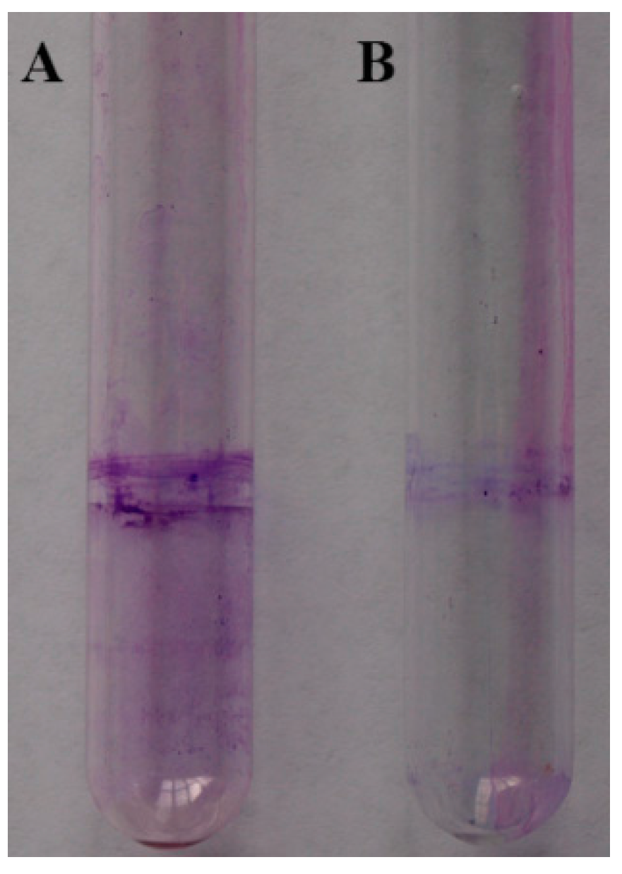 Molecules 20 11660 g005