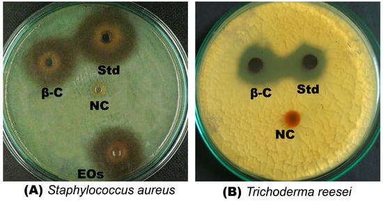 Molecules 20 11808 g003 550