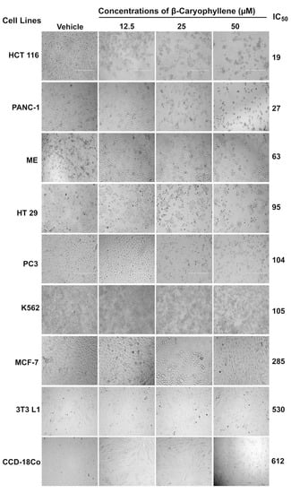 Molecules 20 11808 g004 550