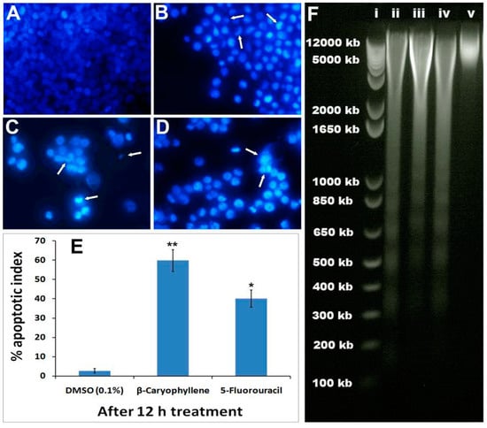 Molecules 20 11808 g006 550