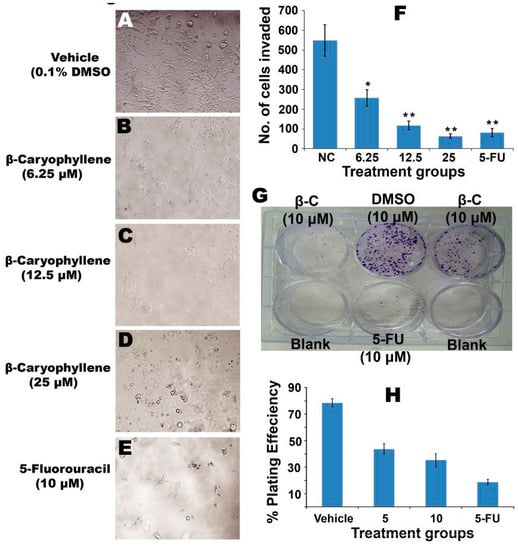 Molecules 20 11808 g008 550