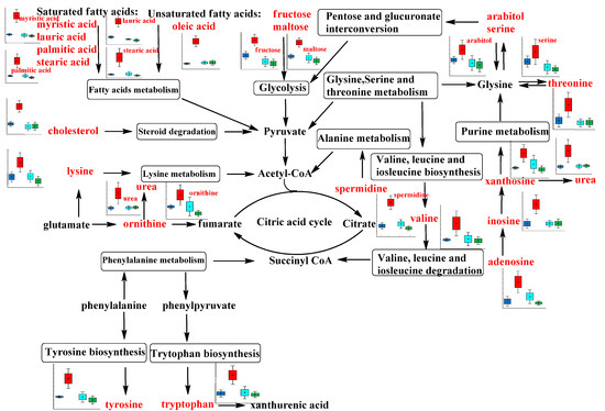 Molecules 20 11915 g004 550