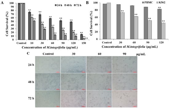 Molecules 20 11981 g001 550