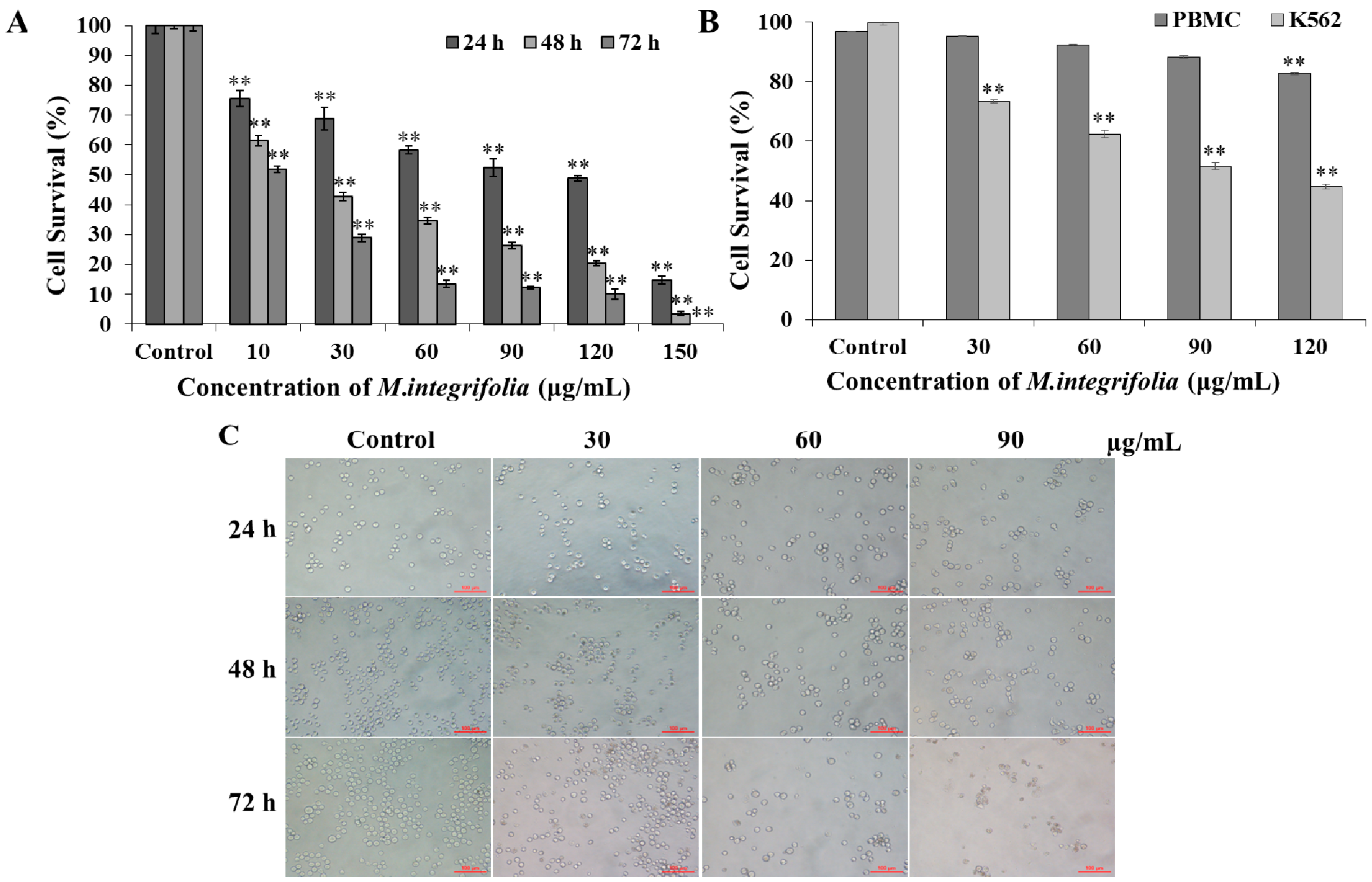 Molecules 20 11981 g001