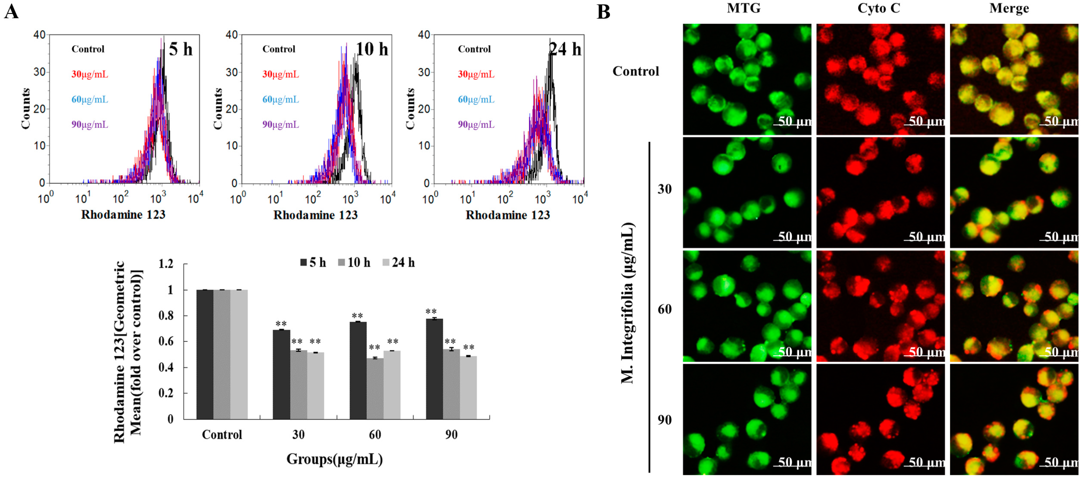 Molecules 20 11981 g004