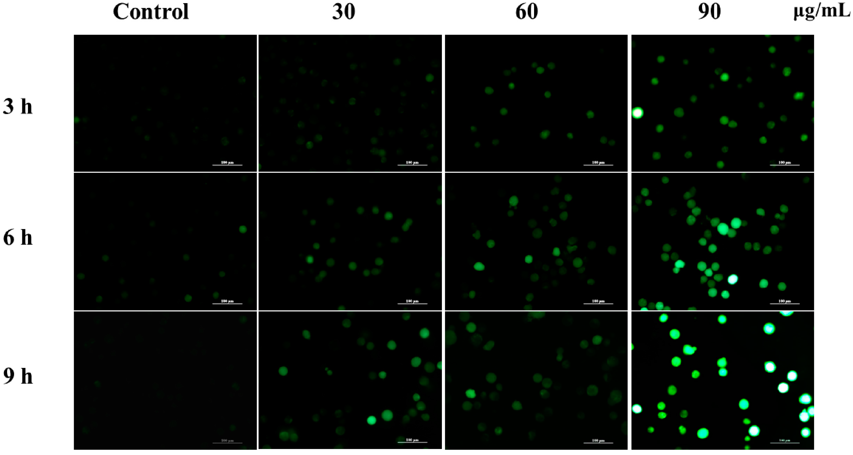 Molecules 20 11981 g005