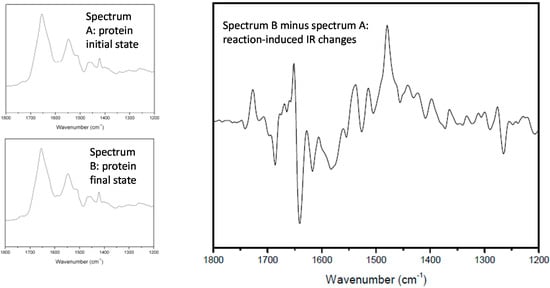 Molecules 20 12229 g001 550