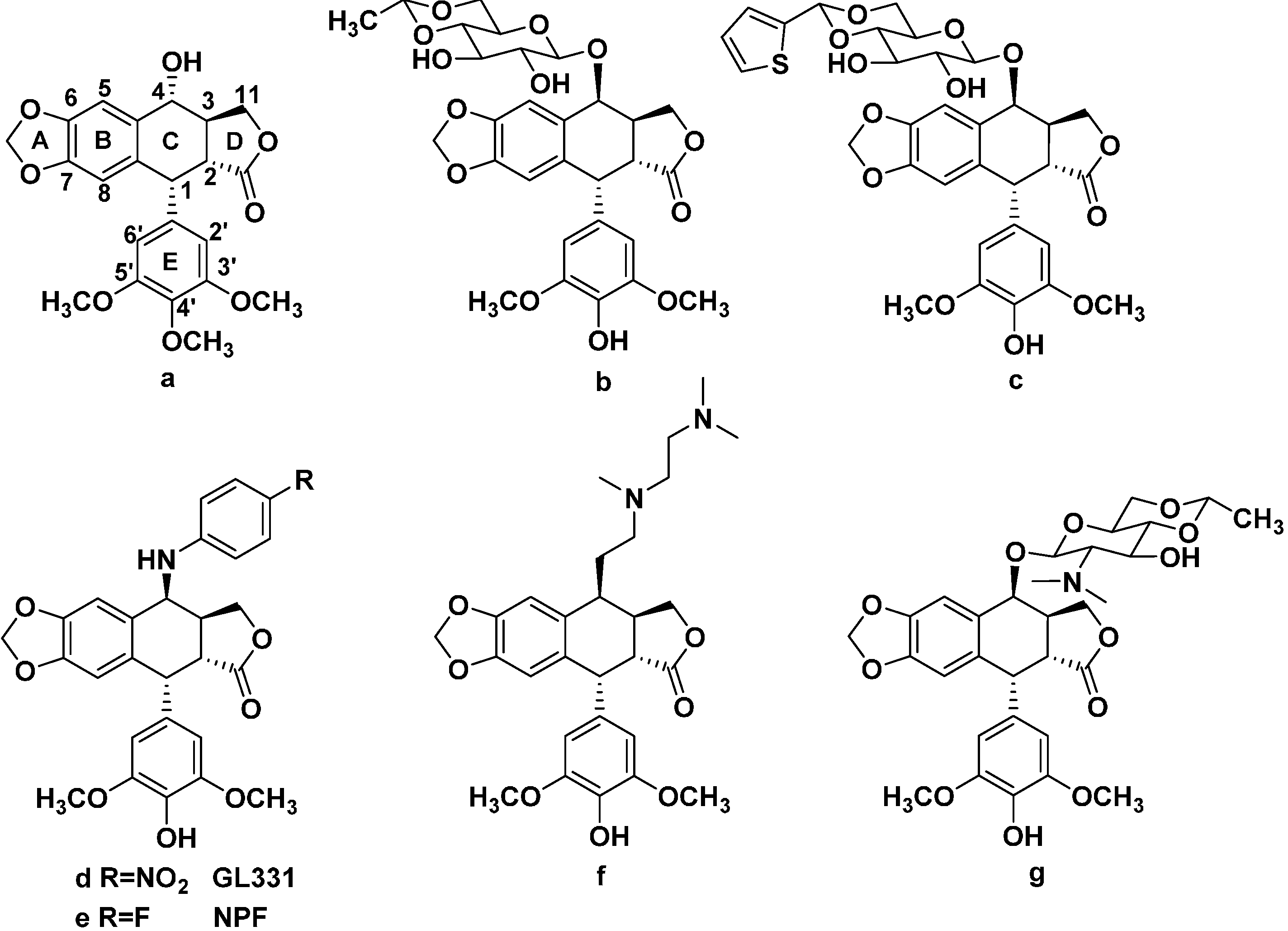 Molecules 20 12266 g001