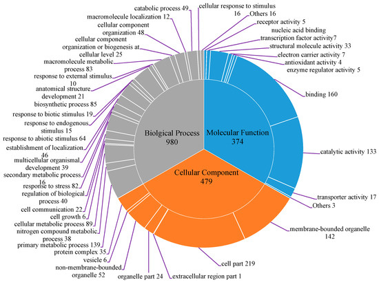 Molecules 20 12469 g001 550