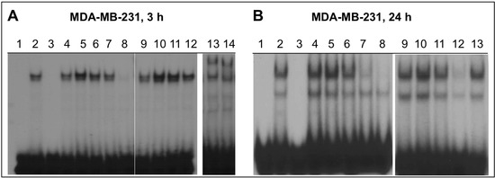 Molecules 20 12481 g003 550