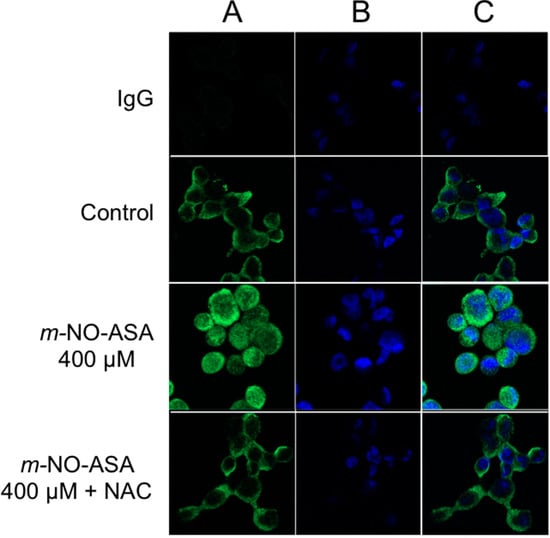 Molecules 20 12481 g006 550