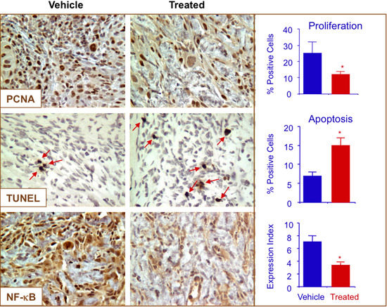Molecules 20 12481 g008 550