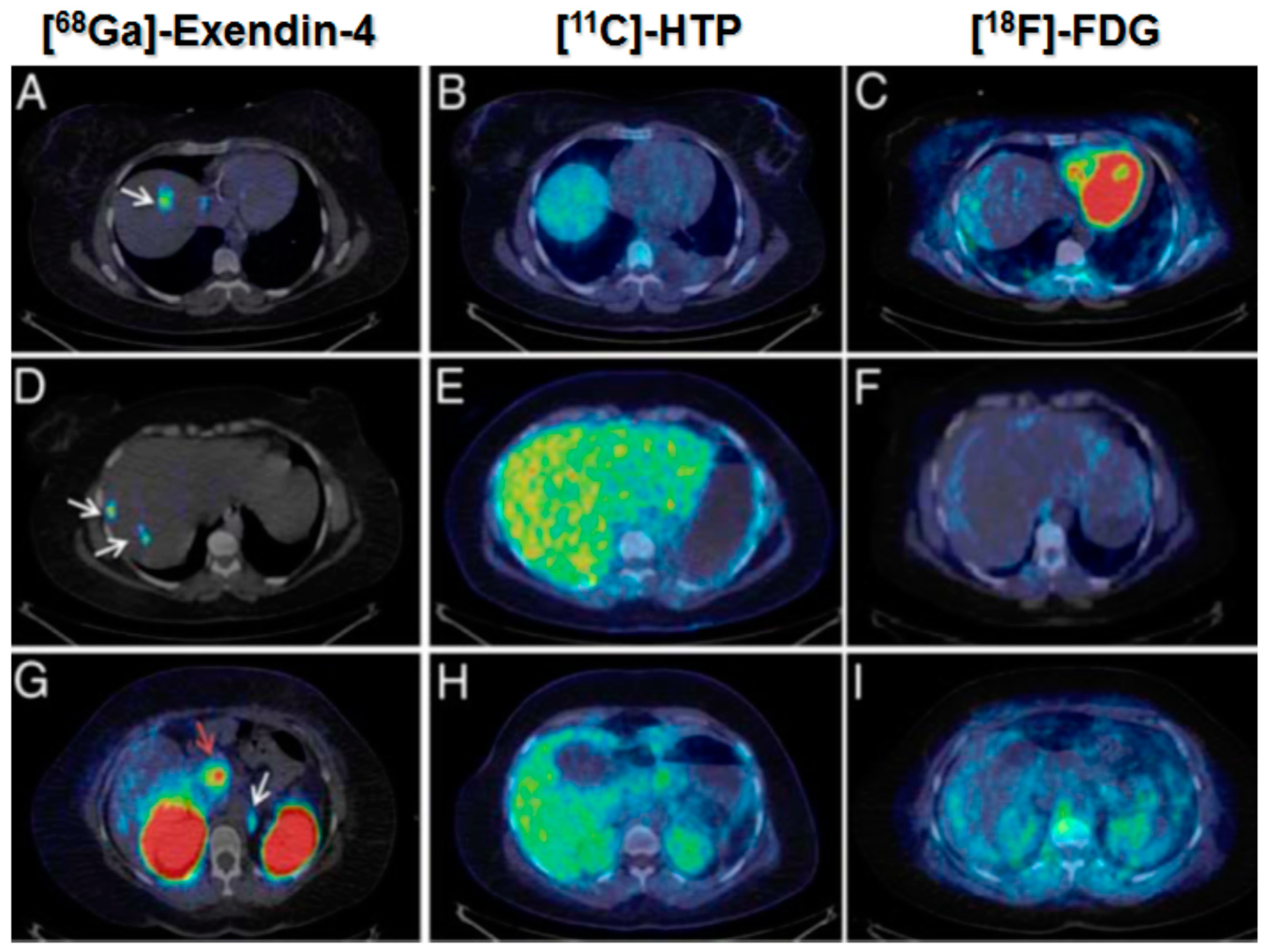 Molecules 20 12913 g019