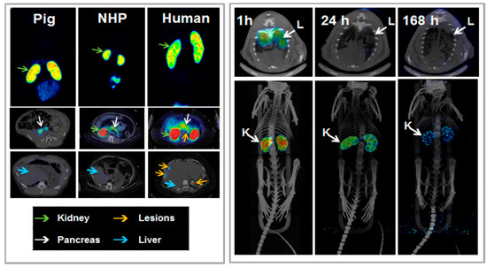 Molecules 20 12913 g020 550