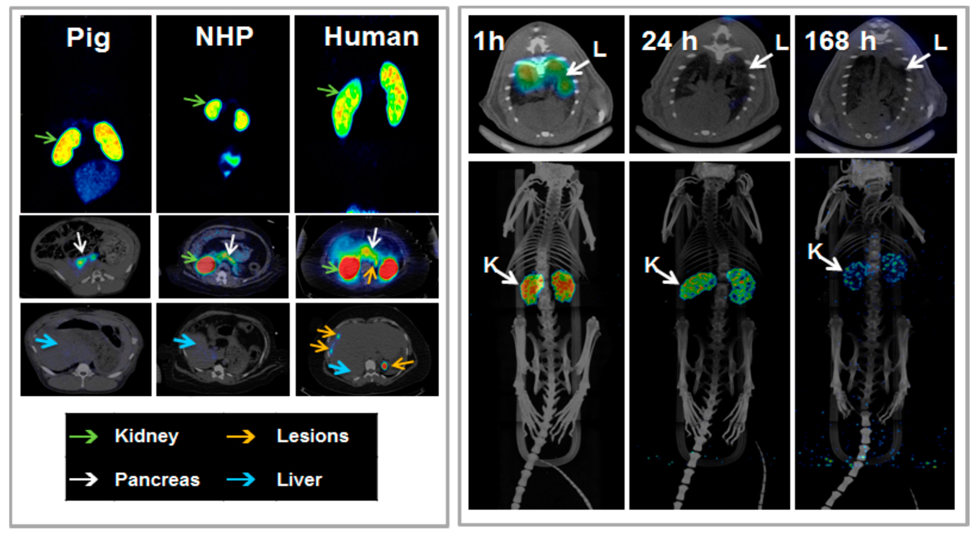 Molecules 20 12913 g020