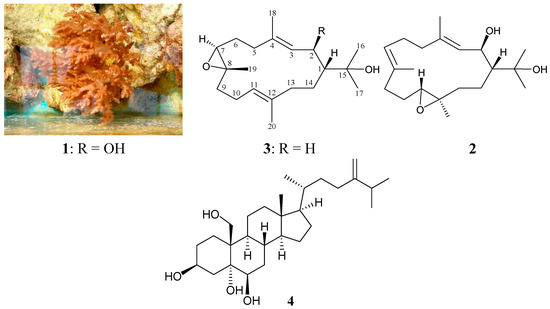 Molecules 20 13205 g001 550