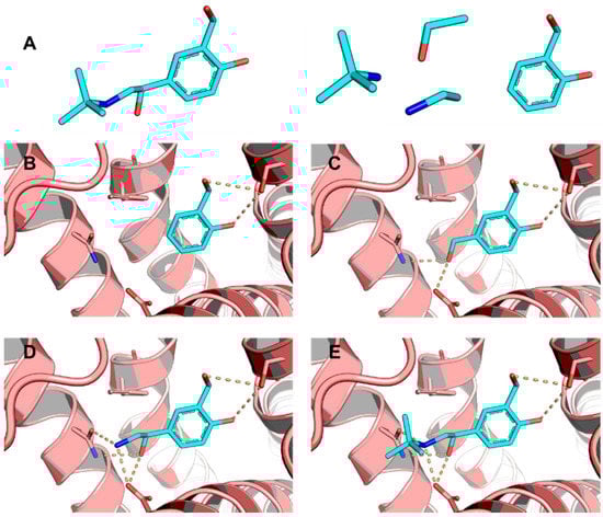 Molecules 20 13384 g004 550