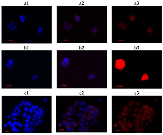 Molecules 20 13575 g007 550