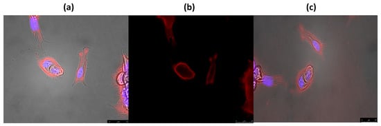 Molecules 20 13575 g008 550