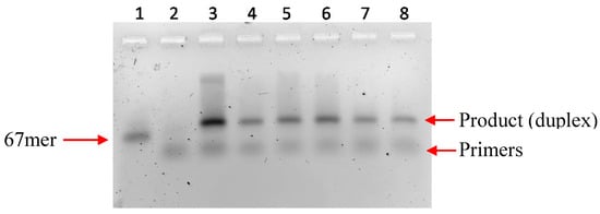 Molecules 20 13591 g004 550