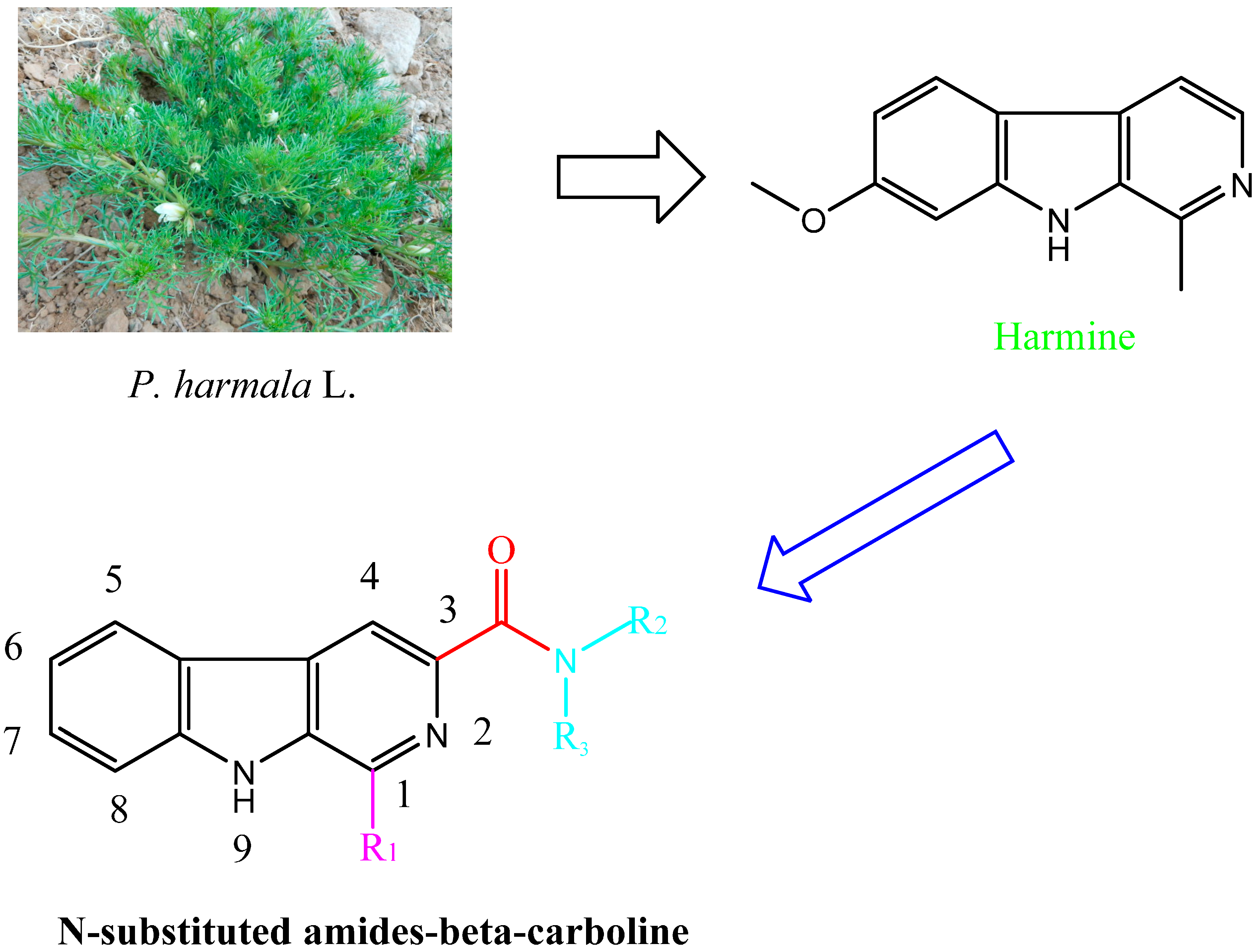 Molecules 20 13941 g002