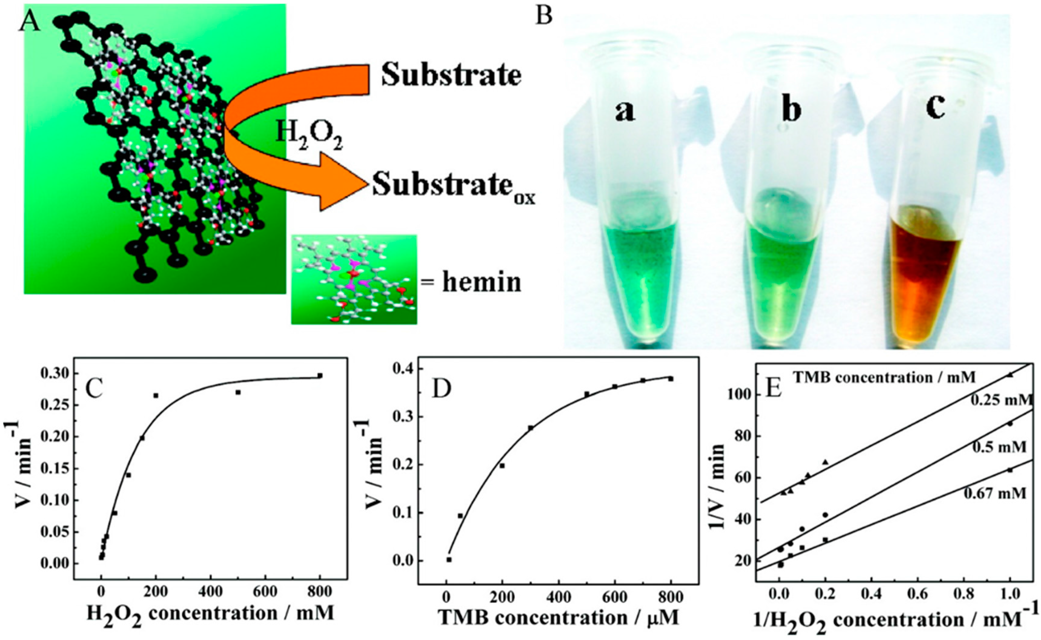 Molecules 20 14155 g002