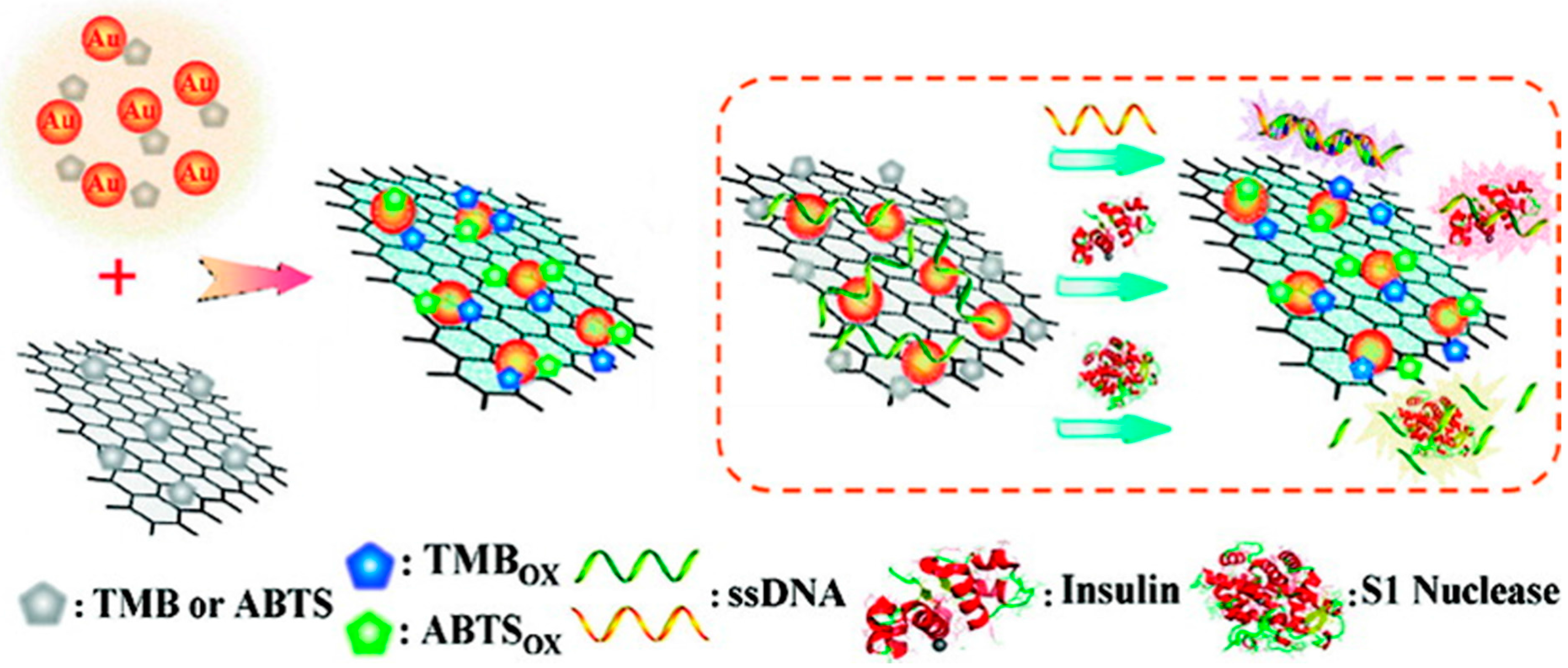 Molecules 20 14155 g005