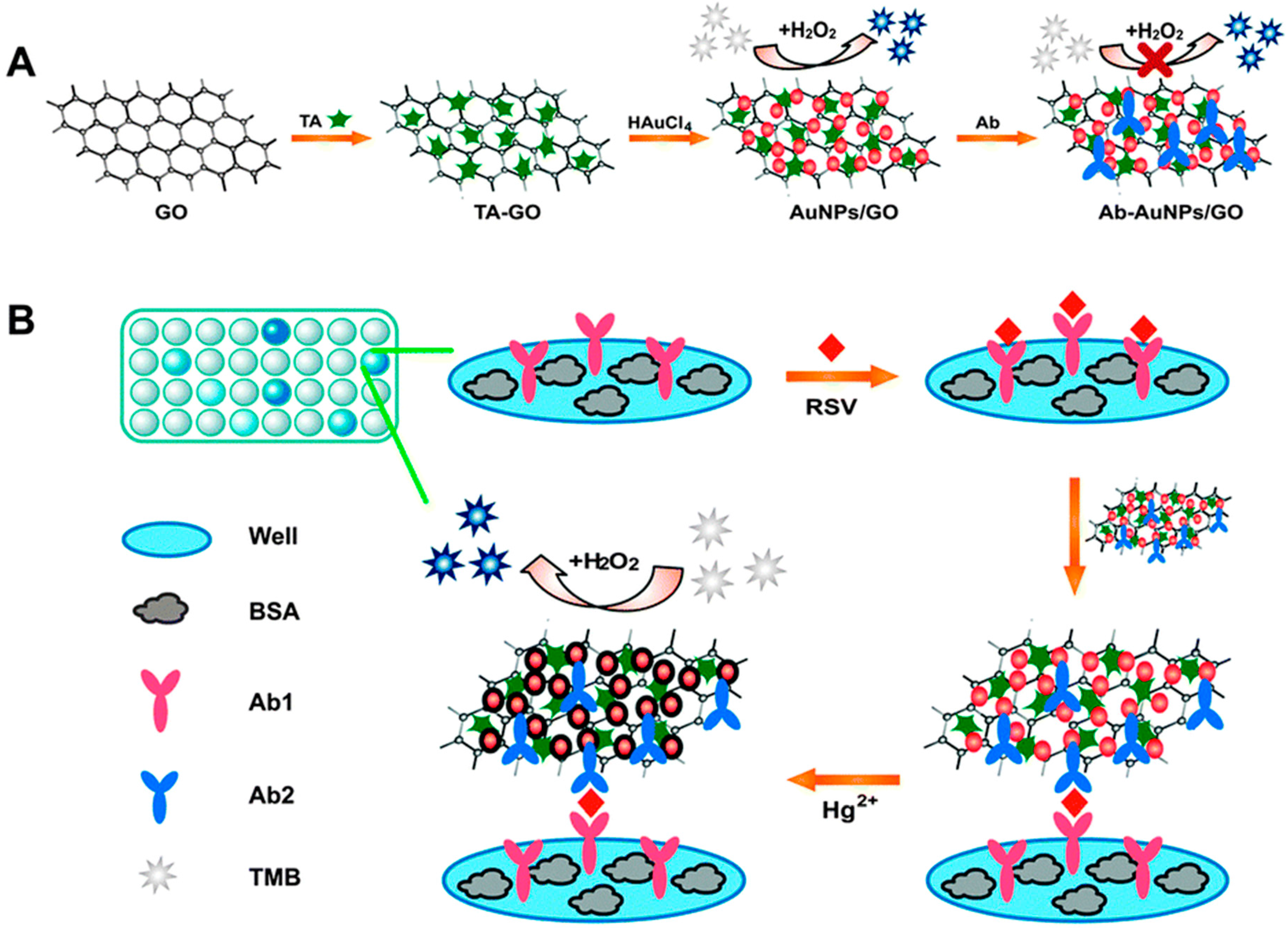 Molecules 20 14155 g007