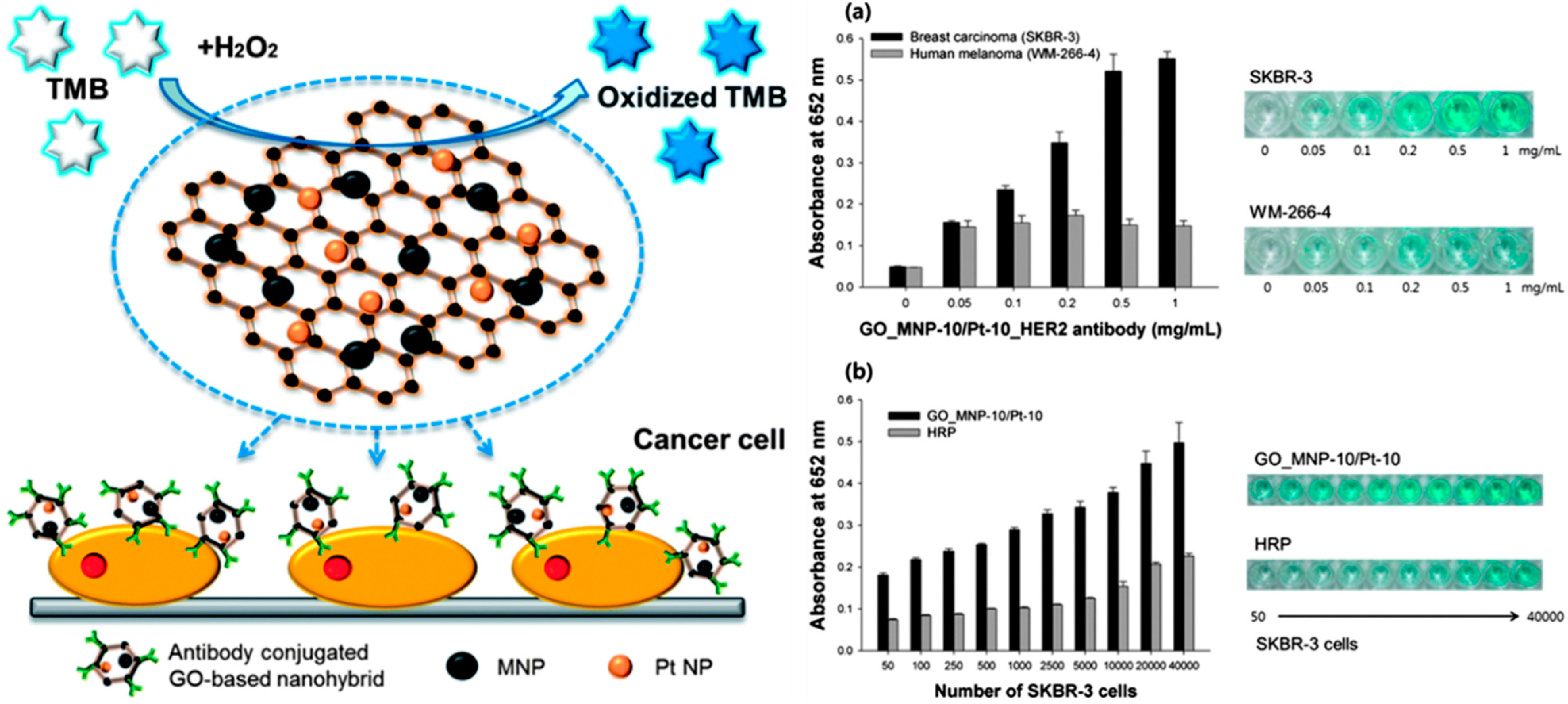 Molecules 20 14155 g009