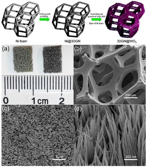 Molecules 20 14155 g011 550