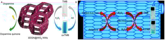 Molecules 20 14155 g012 550