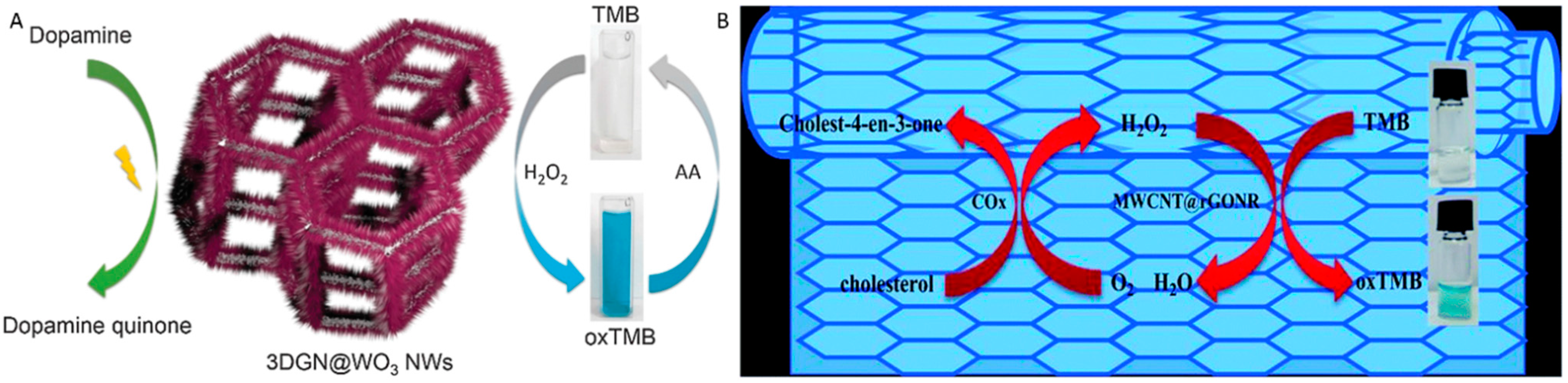 Molecules 20 14155 g012