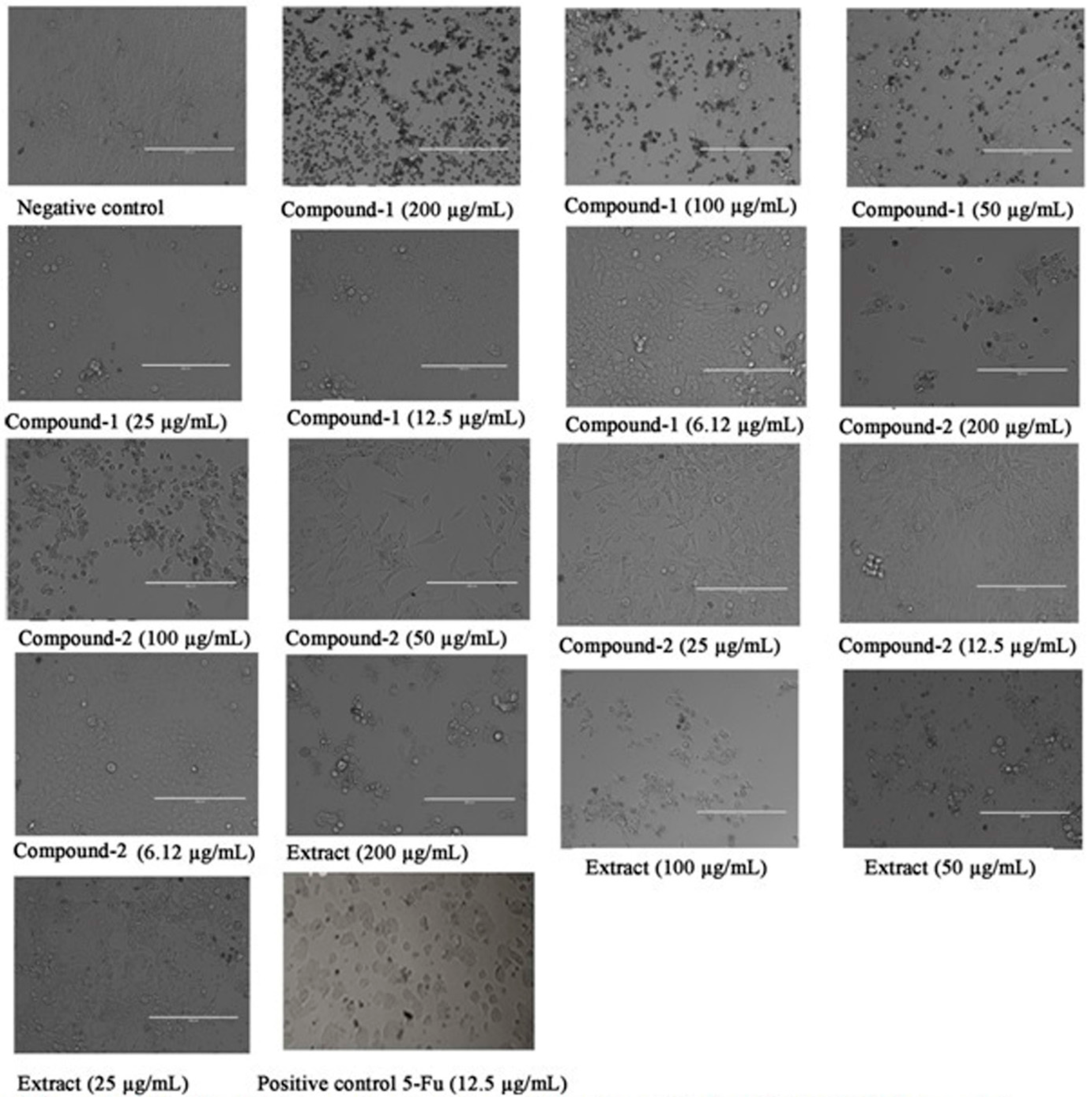 Molecules 20 14212 g010