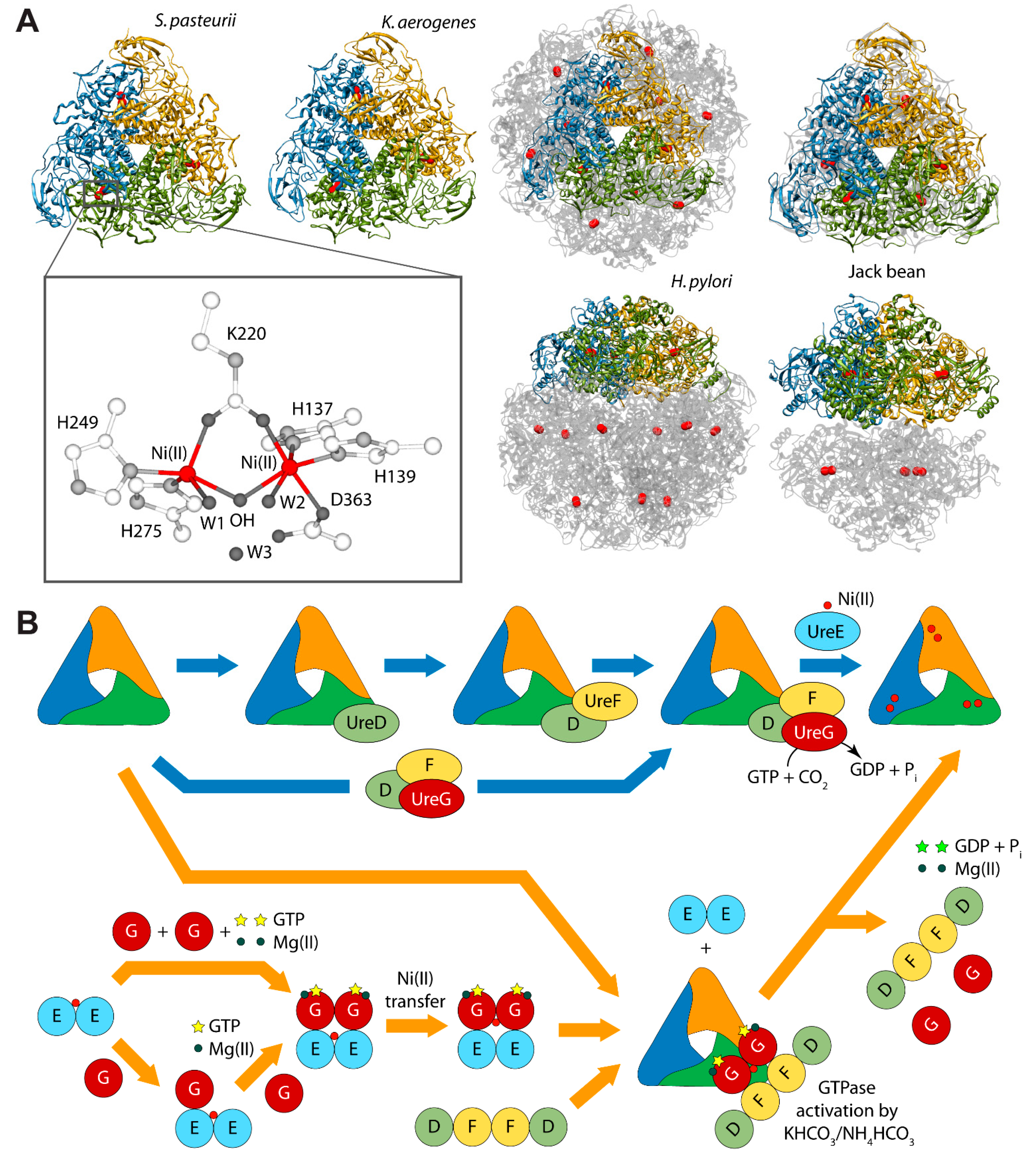 Molecules 20 14265 g001