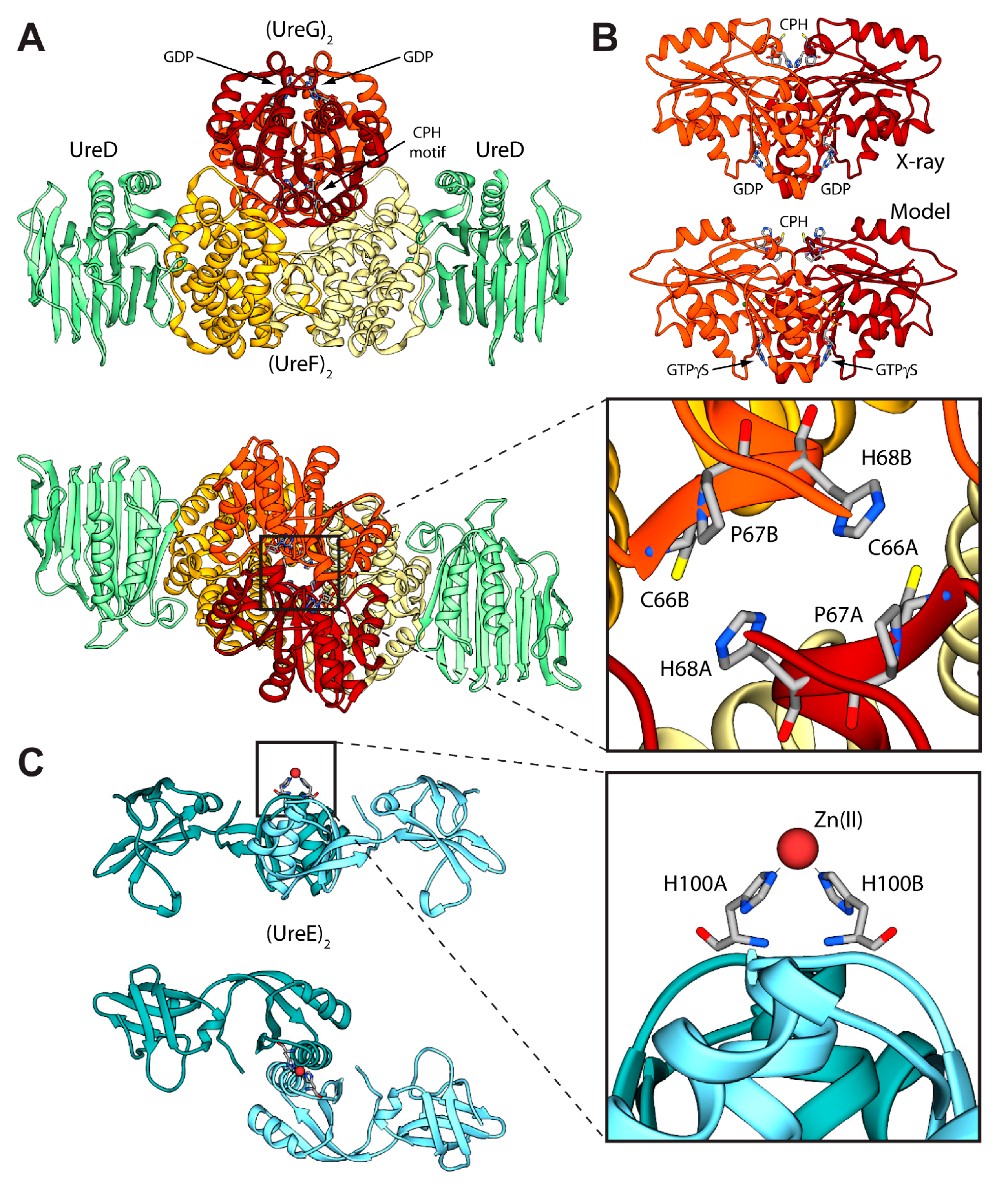 Molecules 20 14265 g002