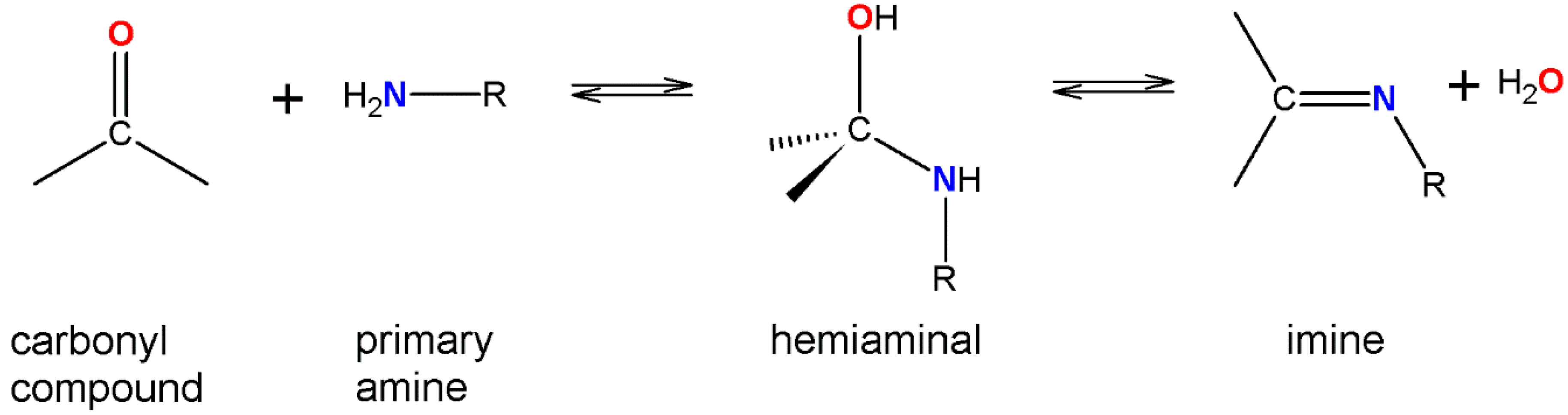 Molecules 20 14365 g004
