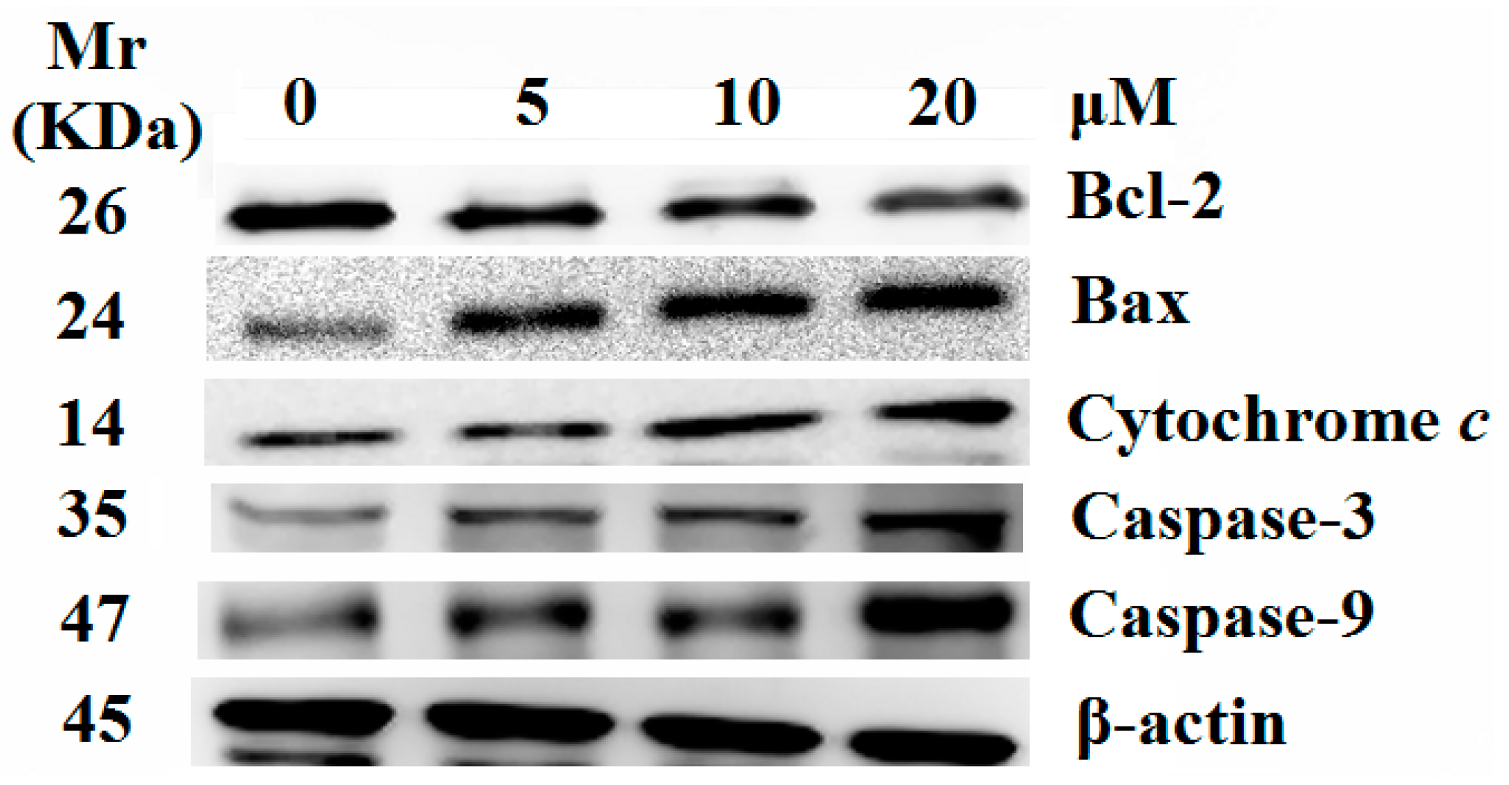 Molecules 20 14791 g007