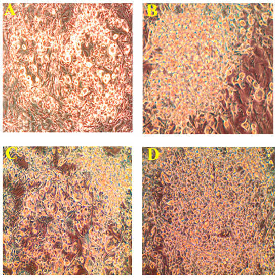 Molecules 20 15359 g002 550