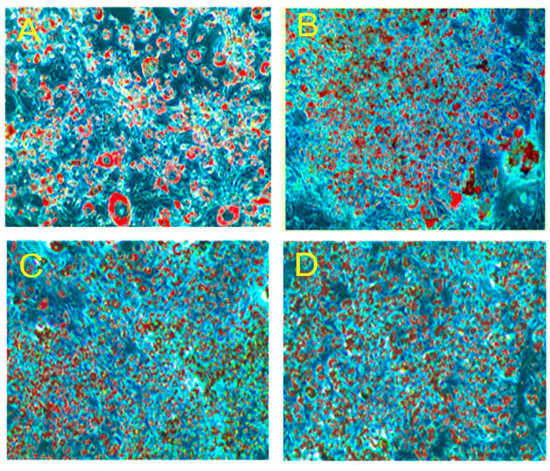 Molecules 20 15359 g003a 550
