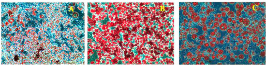 Molecules 20 15359 g006a 550