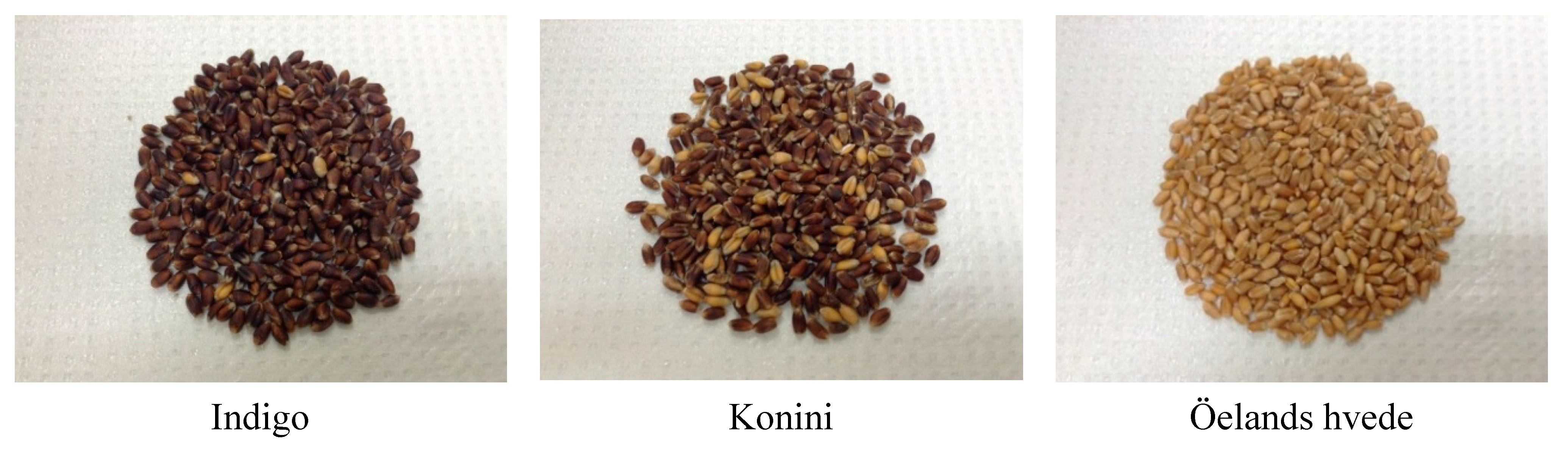 Molecules 20 15525 g007