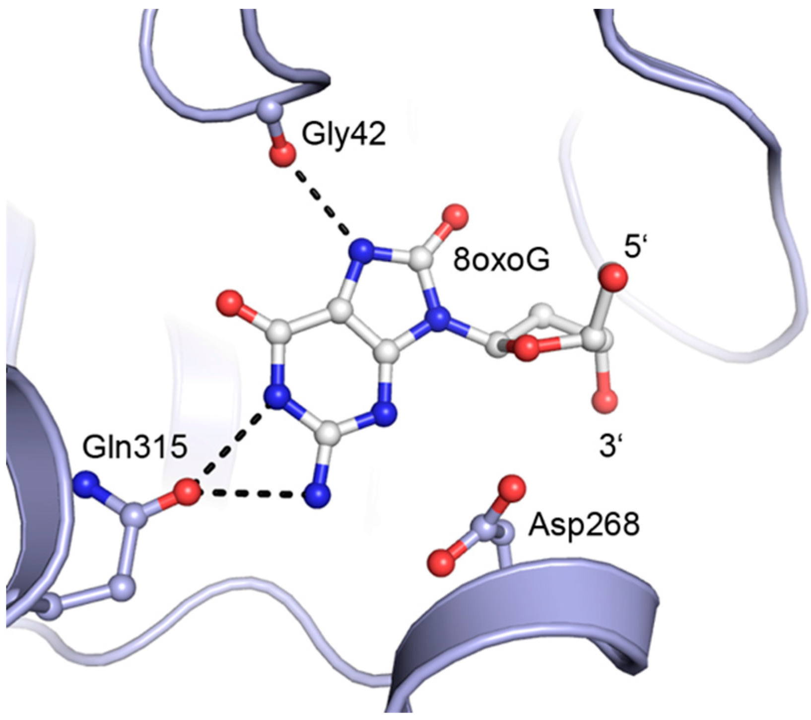 Molecules 20 15944 g001