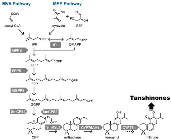 Molecules 20 16235 g001 550