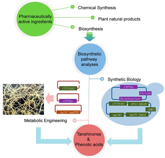 Molecules 20 16235 g003 550