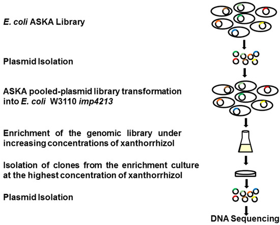 Molecules 20 16290 g005 550