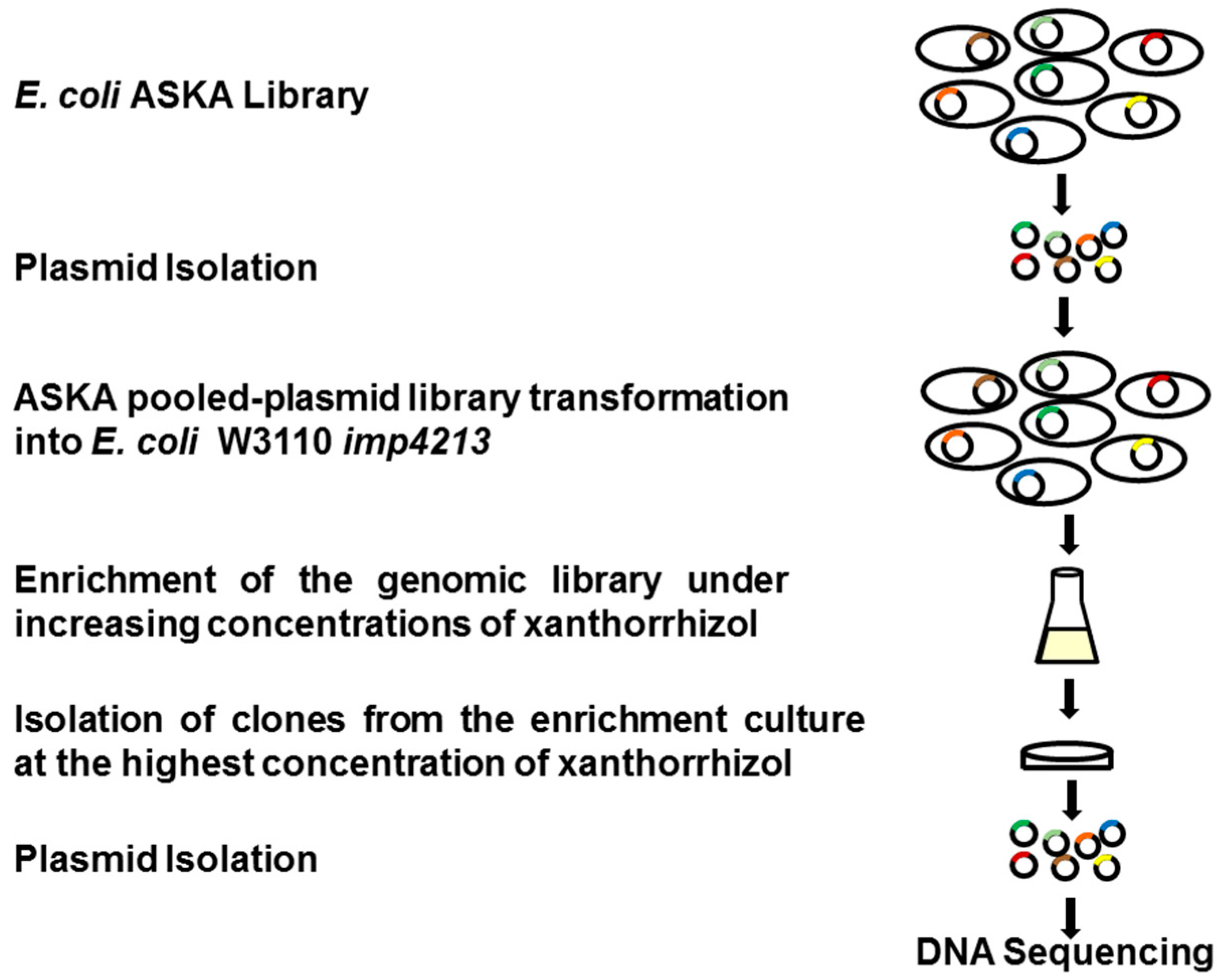 Molecules 20 16290 g005