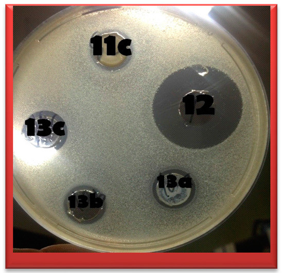 Molecules 20 16620 g002 550